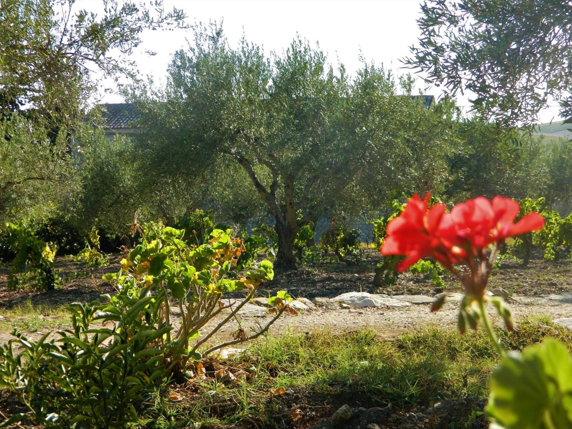 Baglio Anaste Hotel Buseto Palizzolo Bagian luar foto